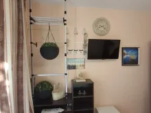 Miniaturka