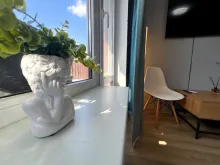 Miniaturka