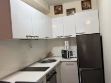 Miniaturka