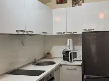 Miniaturka