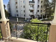 widok z tarasu na tereny zielone