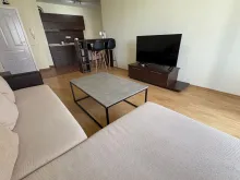Miniaturka