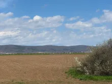 taras