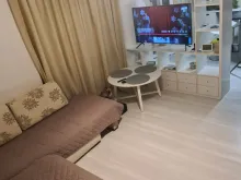 Miniaturka