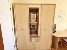 Miniaturka