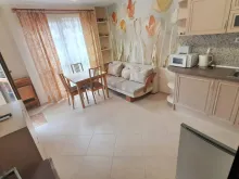widok na salon i kuchnie