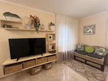 Miniaturka