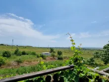widok z tarasu
