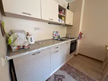 Miniaturka