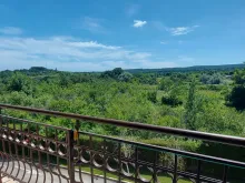 Widok na morze i las