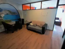 Miniaturka