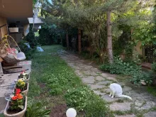 taras