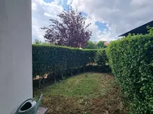 ogródek