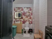 Miniaturka