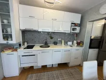 Miniaturka