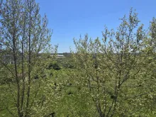 widok z tarasu