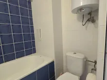 Miniaturka