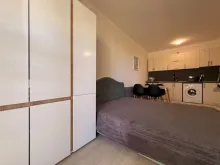 Miniaturka