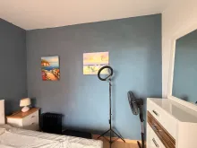 Miniaturka