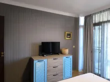 Miniaturka