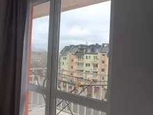 Miniaturka