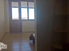 Miniaturka