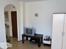 Miniaturka