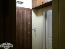 Miniaturka