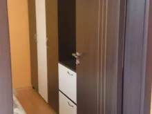 Miniaturka
