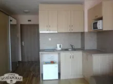 Miniaturka