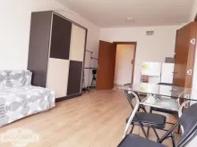 Miniaturka