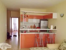 Miniaturka