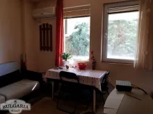 Miniaturka
