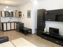 Miniaturka