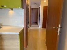 Miniaturka