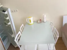 Miniaturka