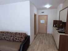 Miniaturka