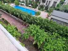 Miniaturka