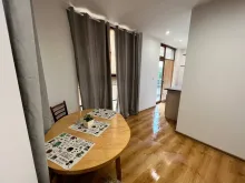 Miniaturka