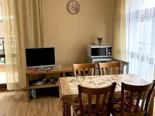 Miniaturka
