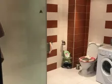 Miniaturka