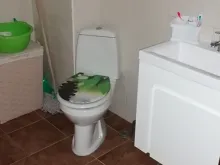 Miniaturka
