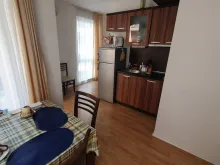 Miniaturka