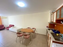 Miniaturka