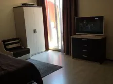 Miniaturka