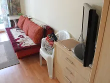 Miniaturka