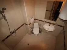 Miniaturka