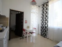 Miniaturka