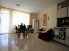 Miniaturka