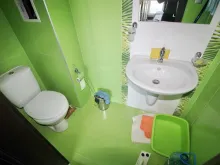 Miniaturka